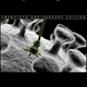 Image for article titled When the world ends, will you be covered in grey goo?